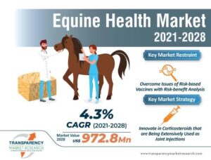 Navigating Equine Health: Solutions and Strategies